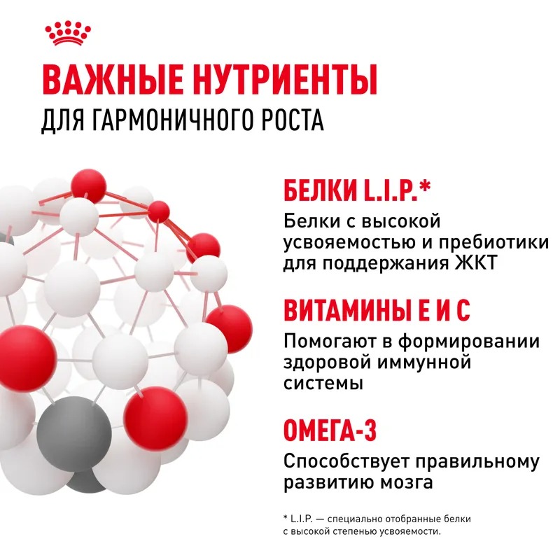 Влажный корм Royal Canin Mini Puppy для щенков мелких пород в возрасте до 10 месяцев, кусочки в соусе 85гр