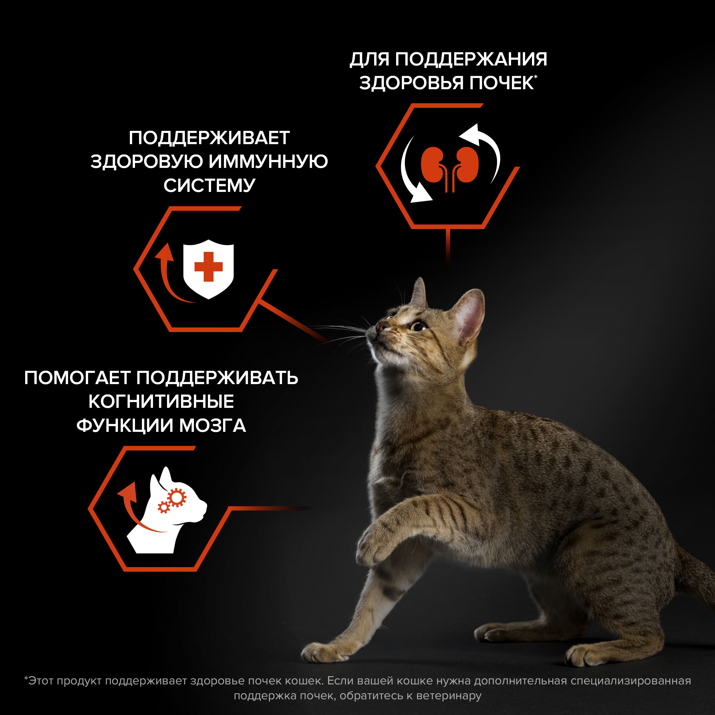 Сухой корм для кошек PRO PLAN для поддержания здоровья органов чувств с лососем, 400г