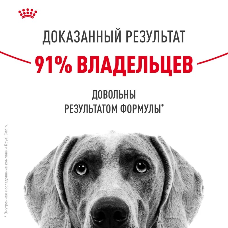 ROYAL CANIN Корм для средних собак при раздражениях и зуде кожи 10 кг