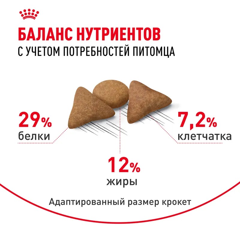 Royal Canin Indoor Appetite Control, Сухой корм для кошек склонных к перееданию 2 кг