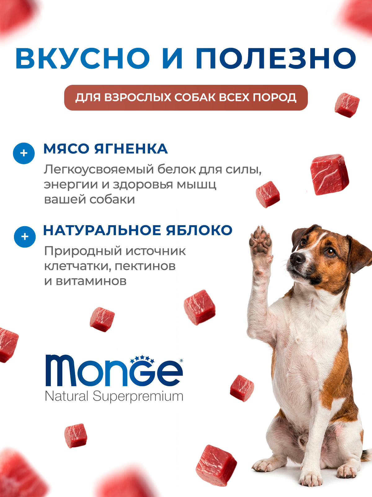 Влажный корм Monge Dog Fruit для собак, с ягненком и яблоком, консервы 100 г