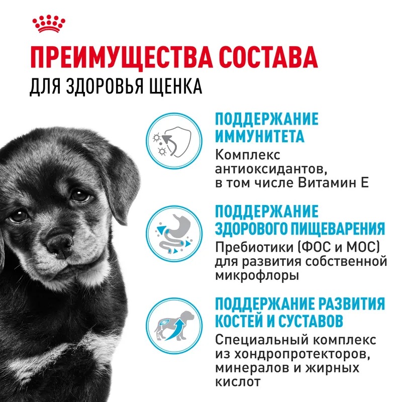 Сухой корм для щенков Royal Canin Rottweiler Puppy, для породы Ротвейлер 12 кг