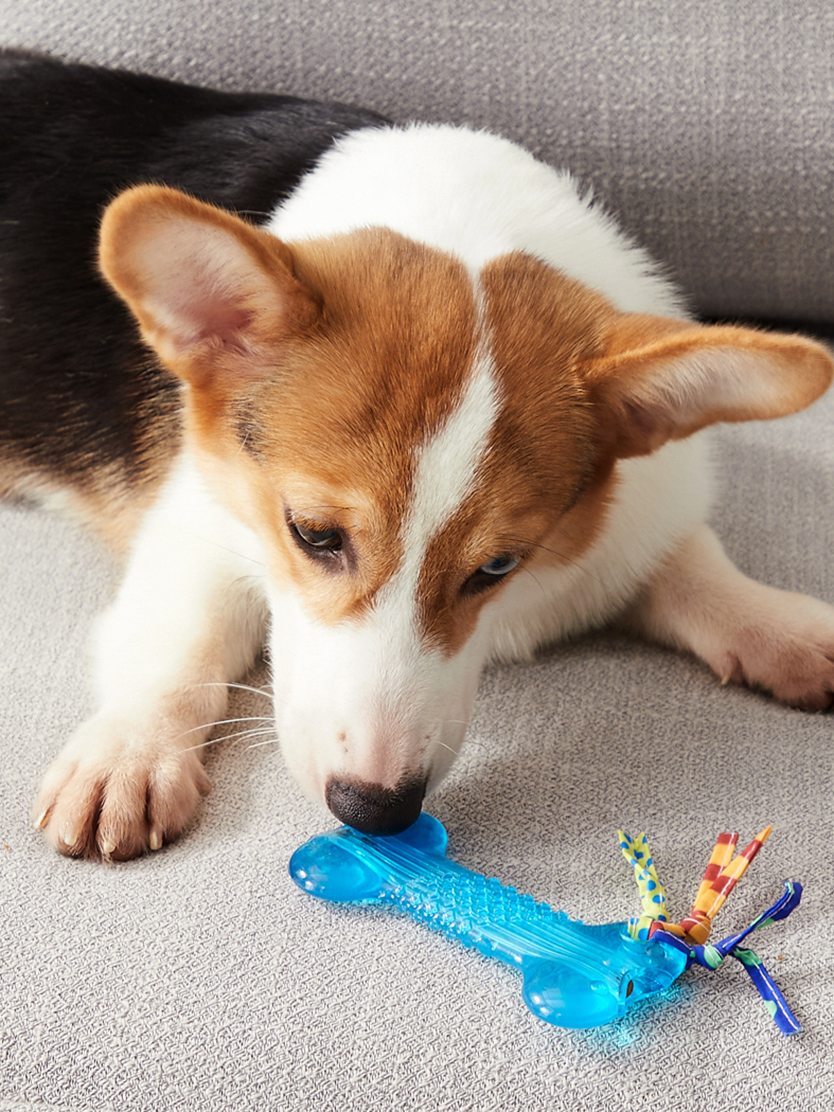 Petstages игрушка для собак Mini "ОРКА косточка" 10 см (34006)