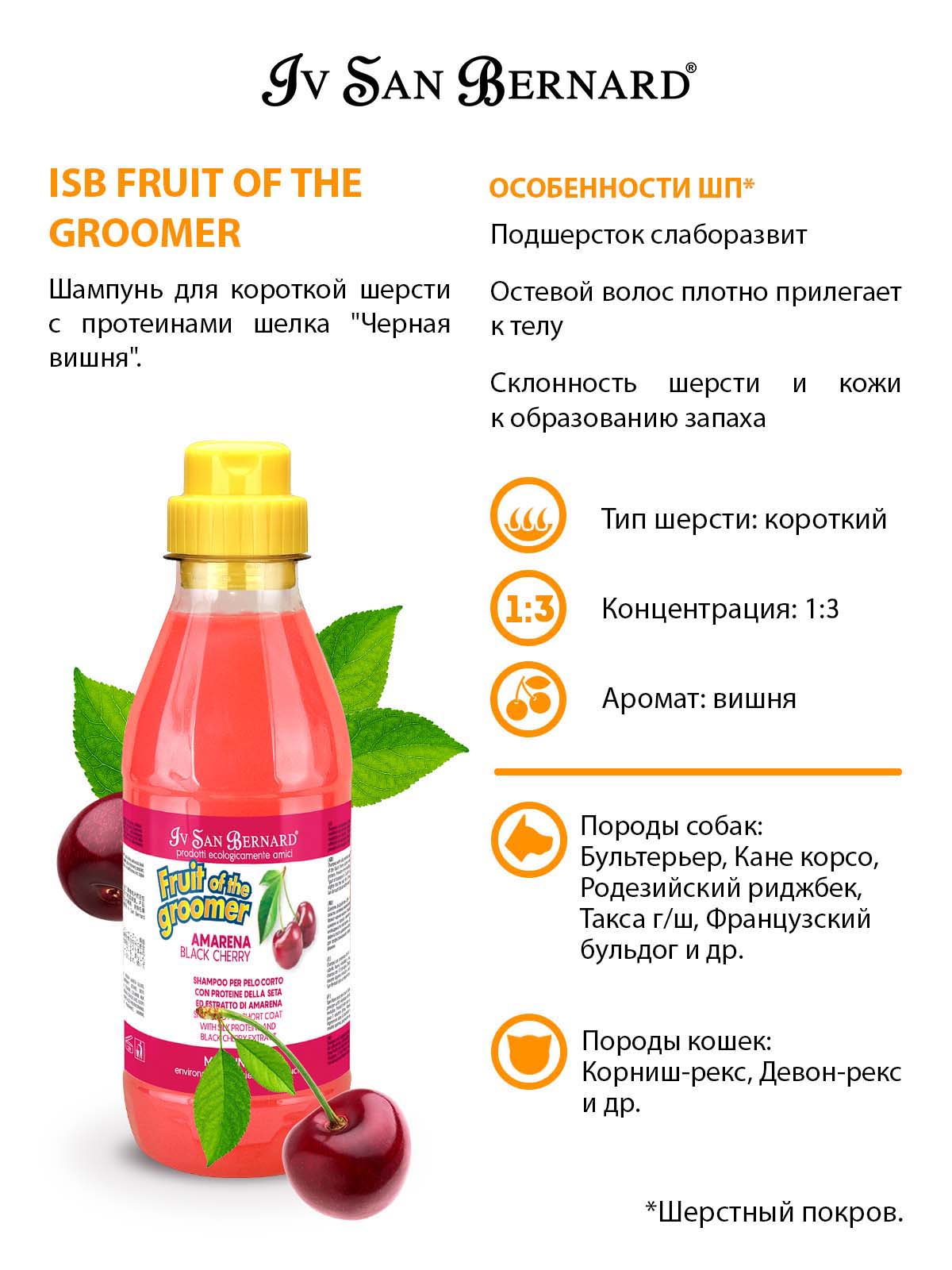 Iv San Bernard ISB  Шампунь для короткой шерсти с протеинами шелка 500 мл 8022767041401