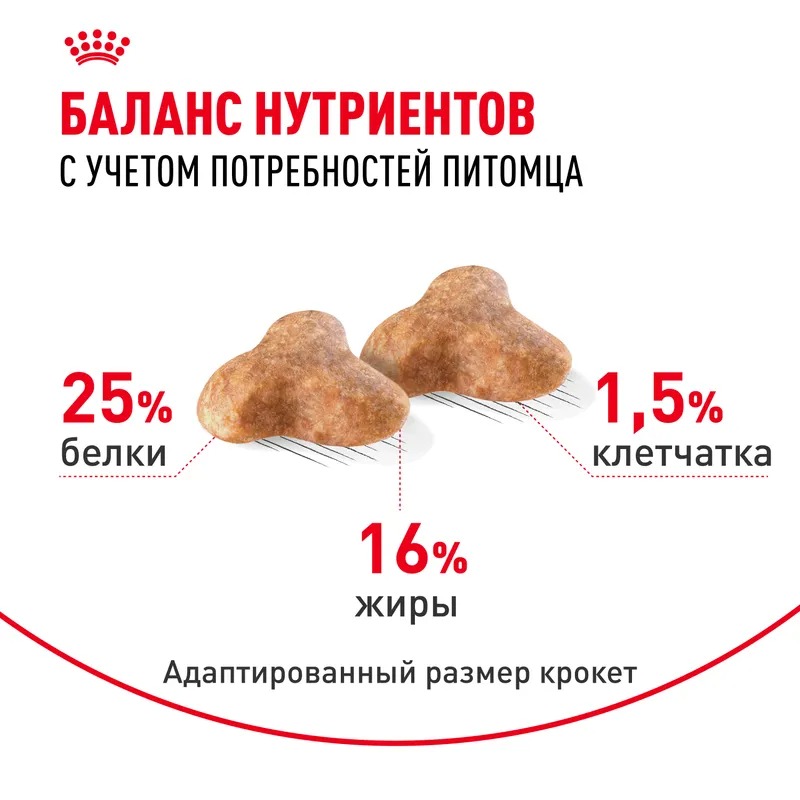ROYAL CANIN Pug корм сухой для взрослых собак породы мопс 1,5 кг 4627109384075