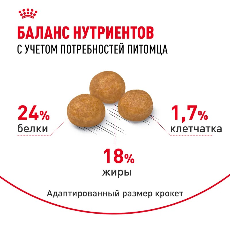 ROYAL CANIN X-Small Сухой корм для собак миниатюрных пород 3 кг 4627109386178