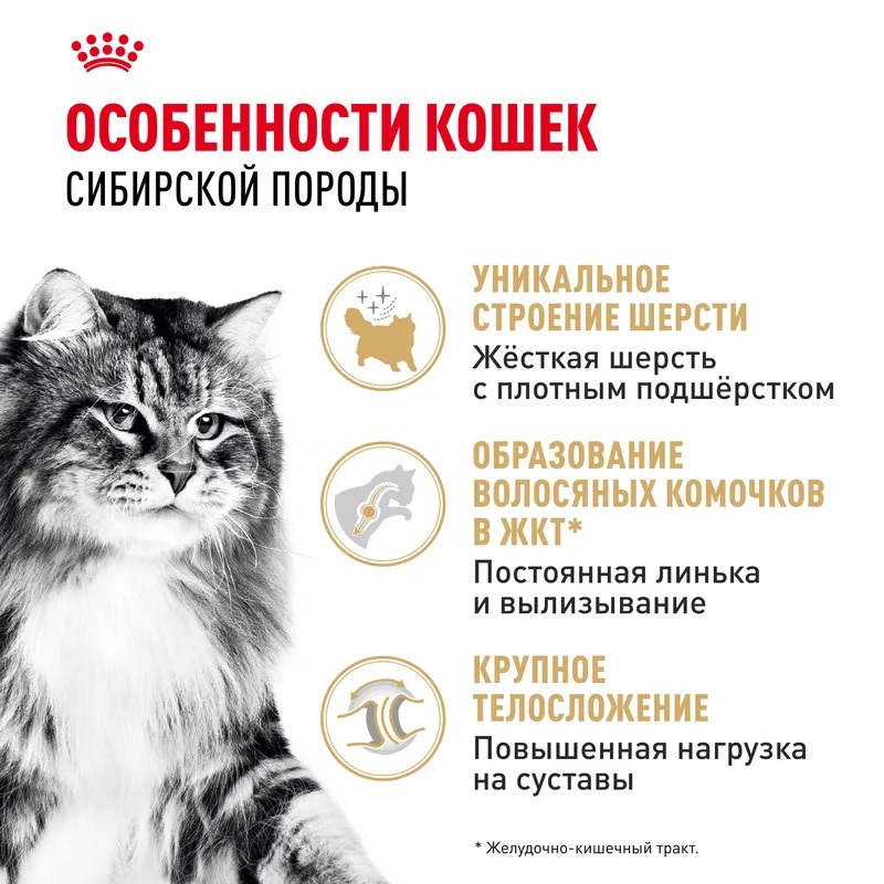Royal Canin Siberian Adult, Сухой корм для кошек  Сибирской породы 2 кг