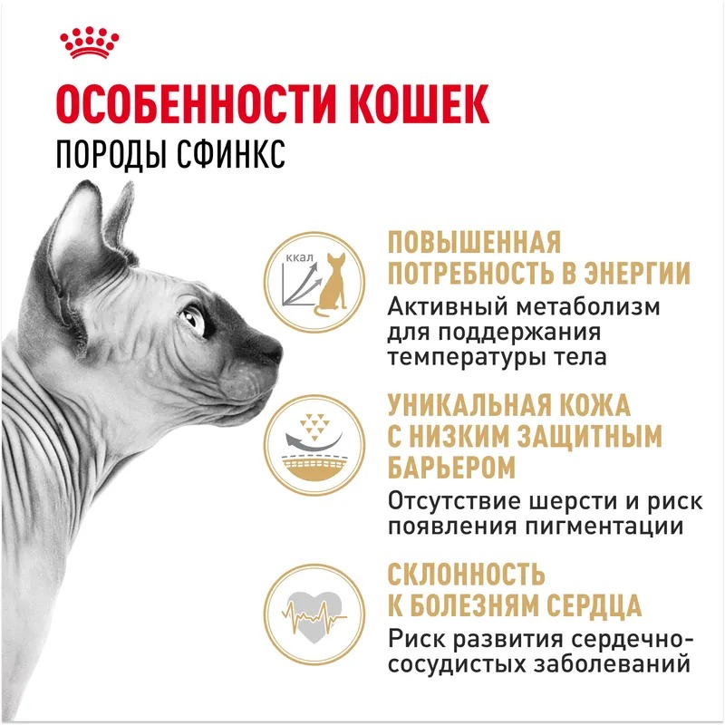 ROYAL CANIN Sphynx сухой корм для взрослых кошек породы Сфинкс 400 гр 4627109382415