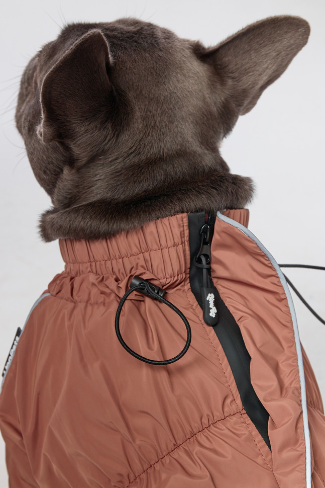 Дождевик LionPets Мопс LPK9325-128 на мальчика Цвет: Шоколадный