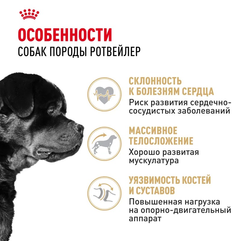 Royal Canin Сухой корм для собак Rottweiler Adult, для породы Ротвейлер 12 кг