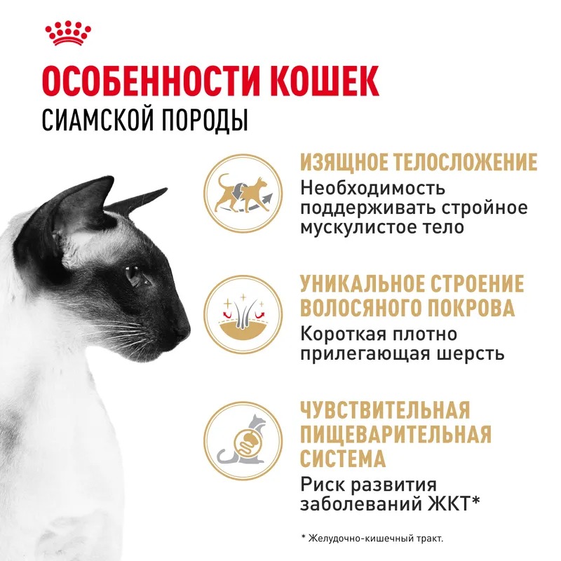 ROYAL CANIN Siamese сухой корм для взрослых сиамских кошек 400 гр 4627109383153