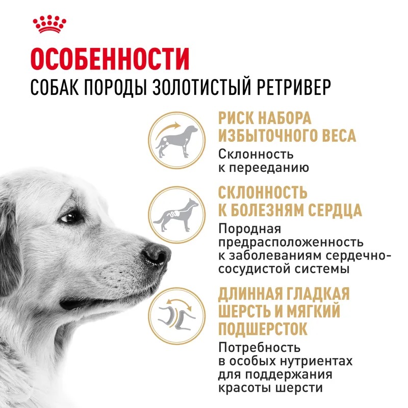 Royal Canin Golden Retriever Сухой корм для собак породы Золотистый Ретривер 12 кг