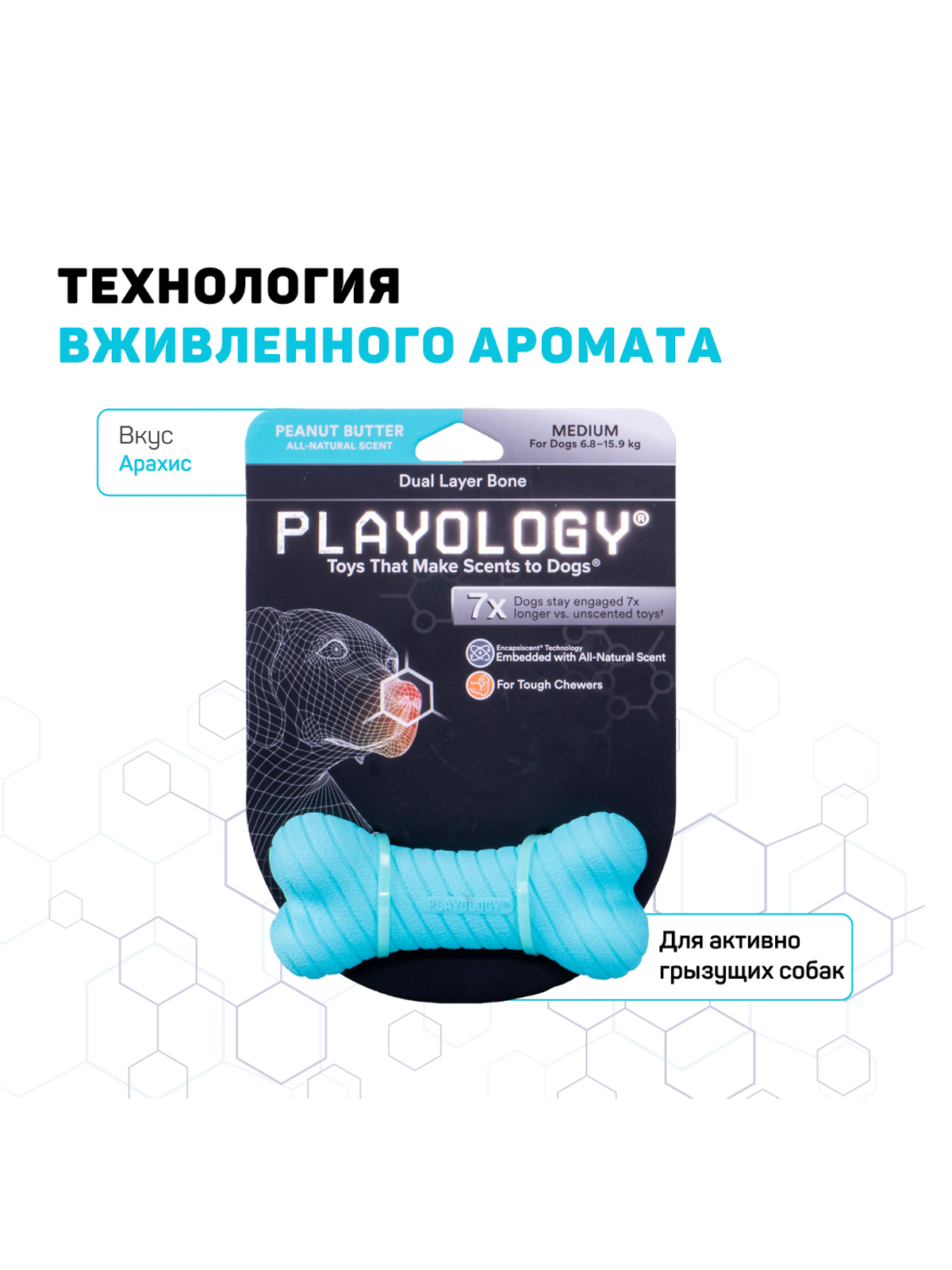 Playology двухслойная жевательная косточка DUAL LAYER BONE для собак средних и крупных пород с ароматом арахиса, большая, цвет голубой