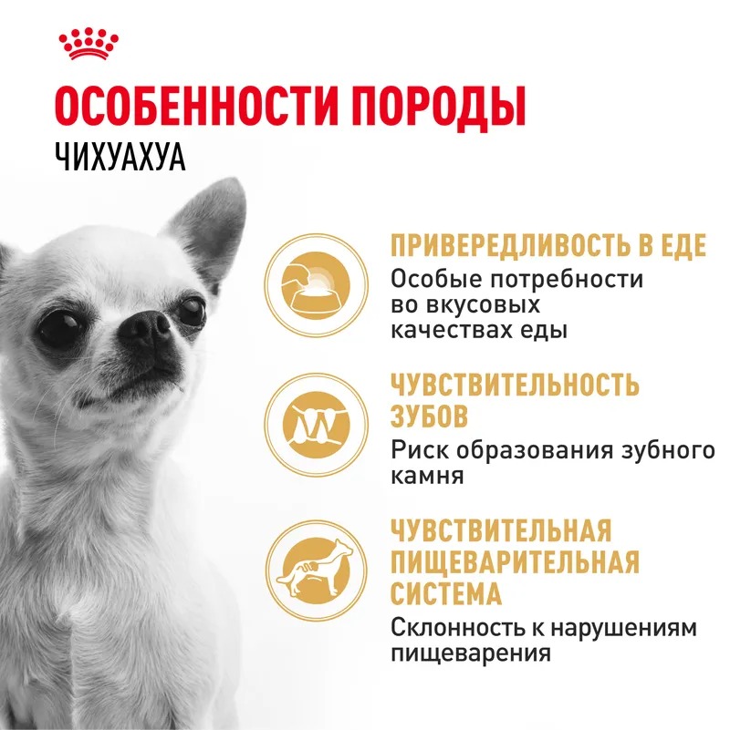 Royal Canin Chihuahua Adult Сухой корм для собак для породы Чихуахуа 3 кг