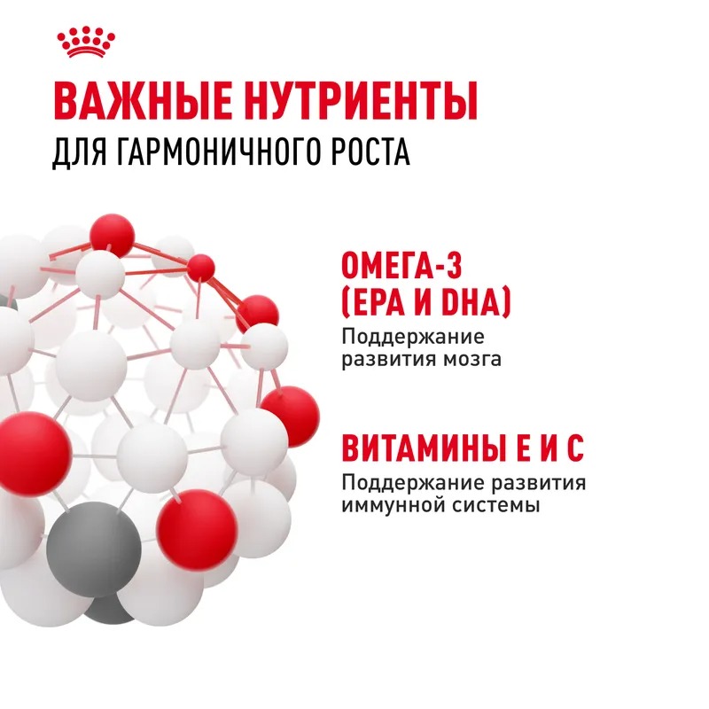 ROYAL CANIN Kitten Корм для котят до 12 месяцев, в желе, 1шт-85гр 4627150233889