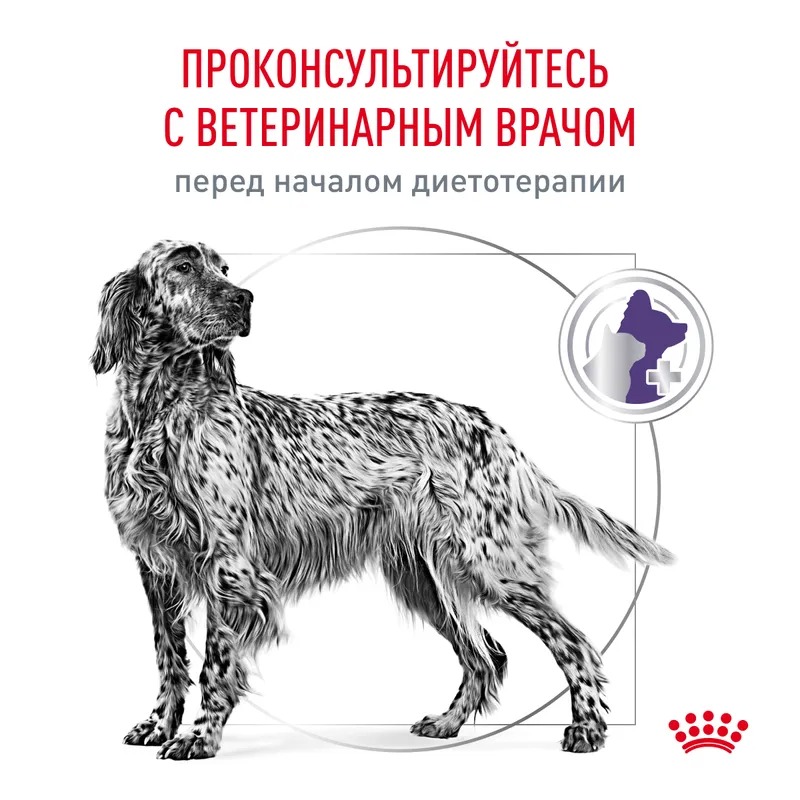 Royal Canin Neutered Adult Medium Dogs Сухой корм для стерилизованных собак 9 кг