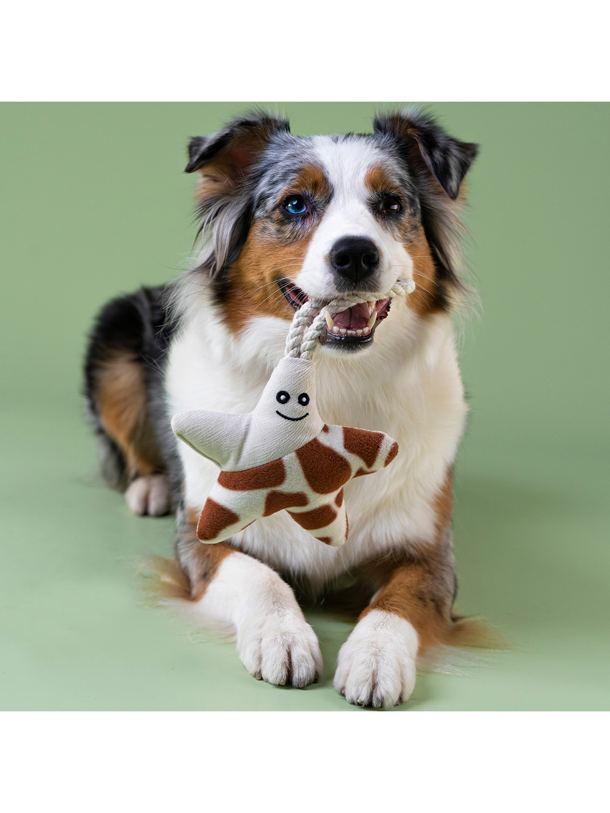 Игрушка Mr.Kranch для собак мелких и средних пород Звездочка с канатом и пищалкой 26х16х5см, бежево-пятнистая