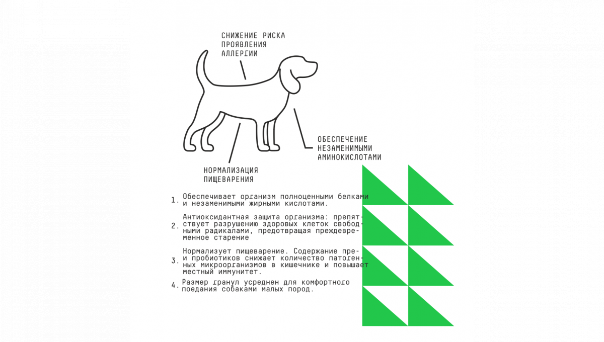 Ajo Сухой корм hypo для собак малых пород с индейкой 2 кг 4630169560525