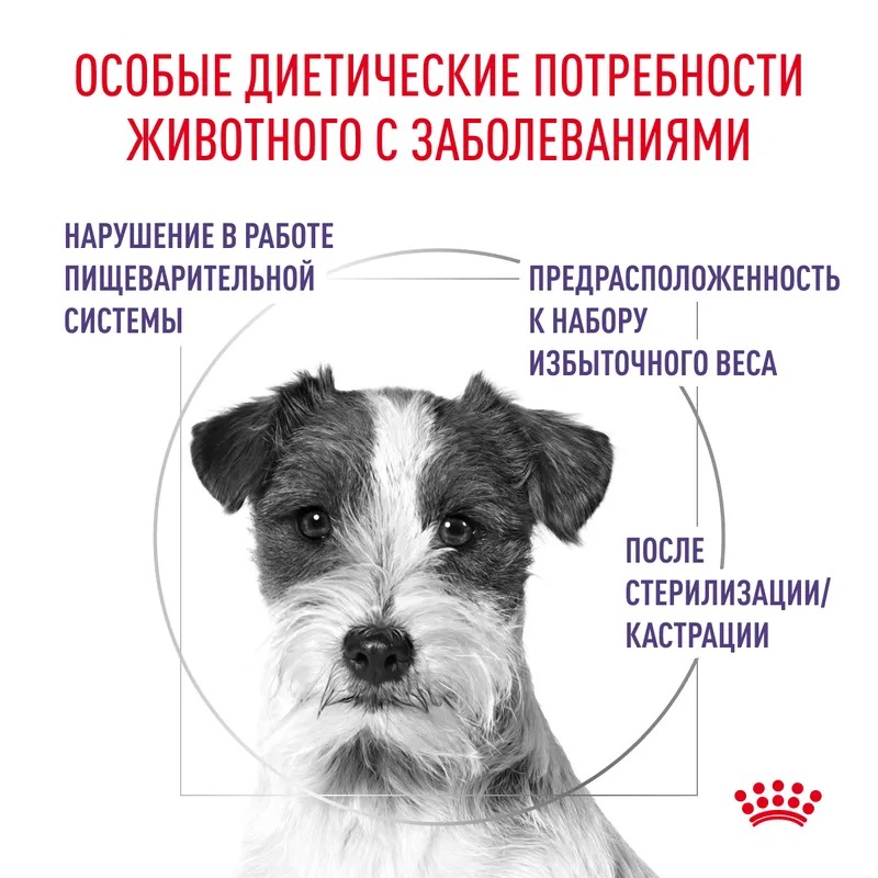 Royal Canin Neutered Adult Small Dogs  Сухой корм для собак , для малых пород, контроль веса 3,5 кг