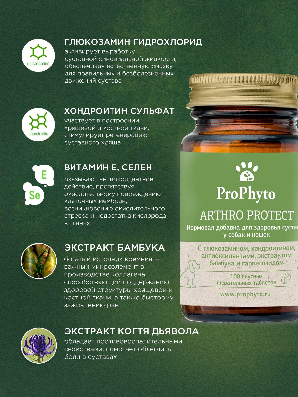 ProPhyto Артро Защита, 100 таблеток