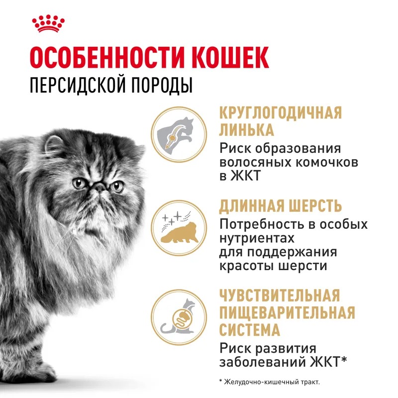 ROYAL CANIN Persian Сухой корм для взрослых персидских кошек 400 гр 4627109383191