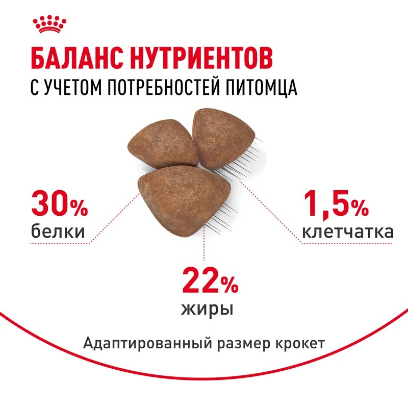 ROYAL CANIN Mini Starter Корм для щенков мелких пород до 2 месяцев 1 кг 4627109384440