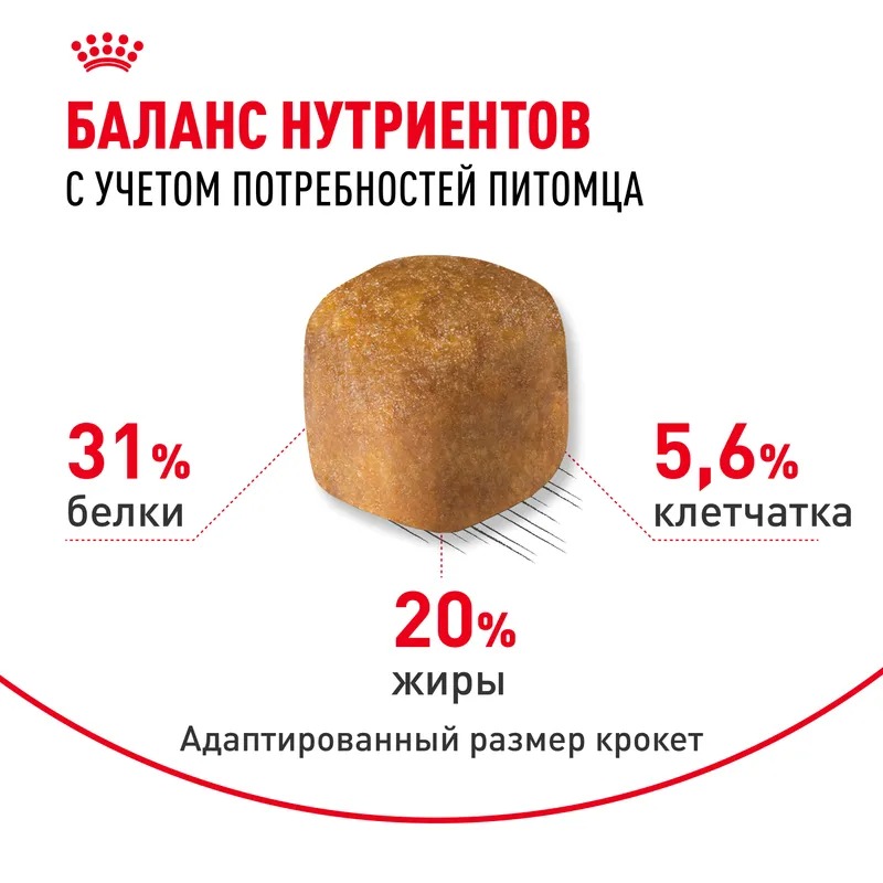 ROYAL CANIN Maine Coon корм для кошек породы Мэйн Кун 400 гр 4627109382286