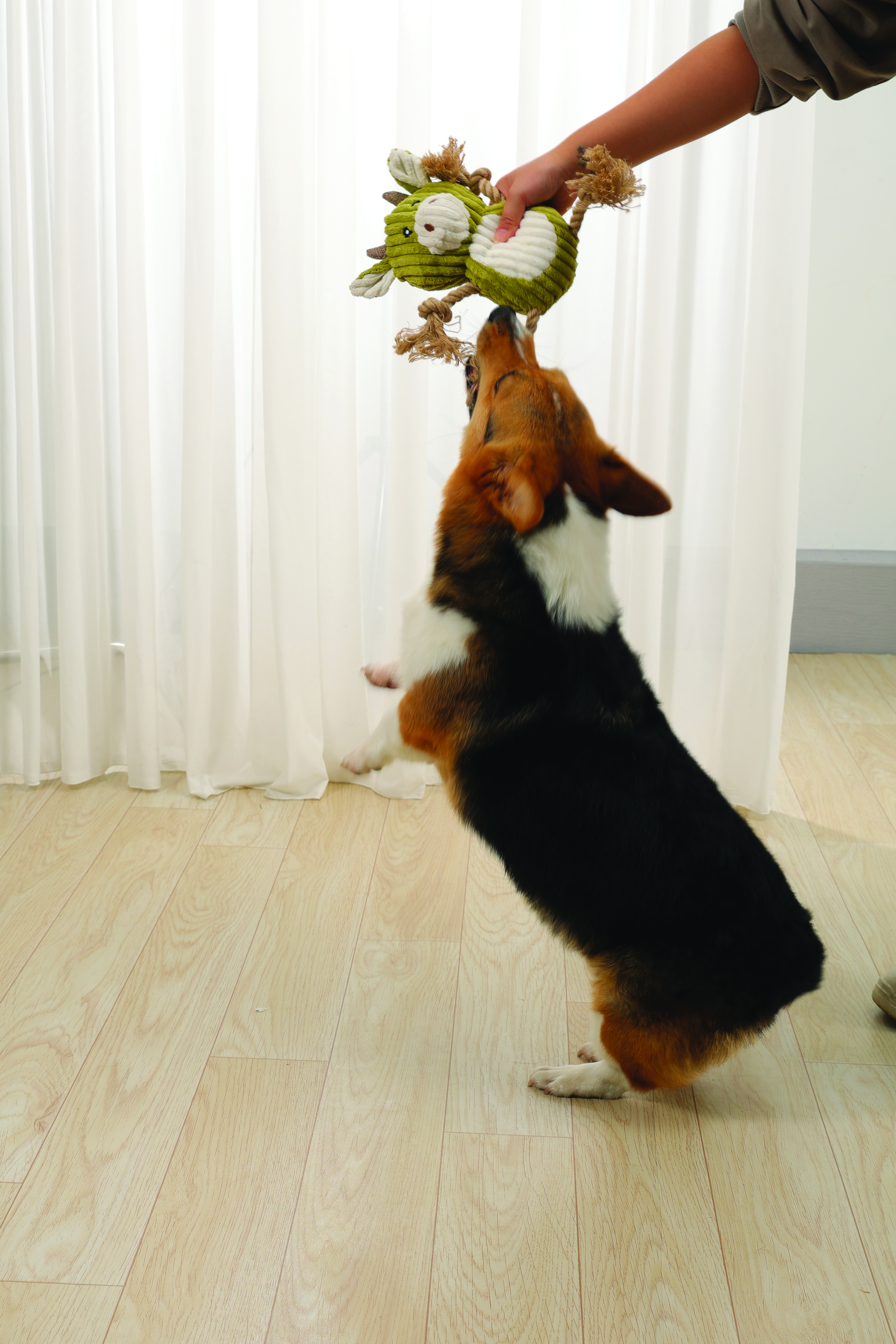 Игрушка мягкая для собак Коровка  Рози с канатом, 28 см, MPets 10642999