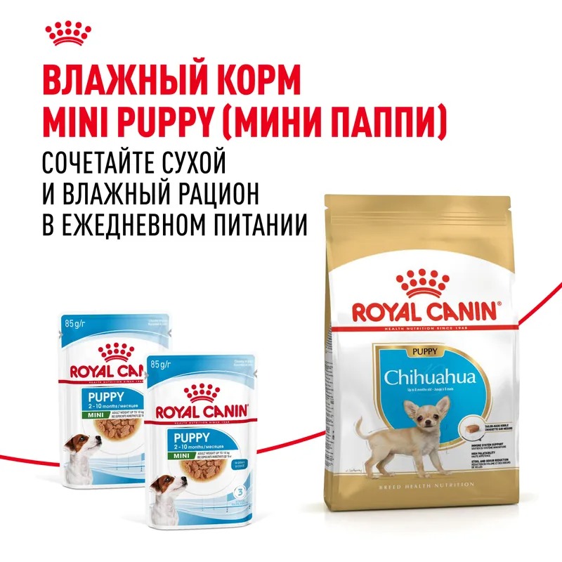 Royal Canin Сухой корм для щенков  Chihuahua Puppy, для породы Чихуахуа 1,5 кг