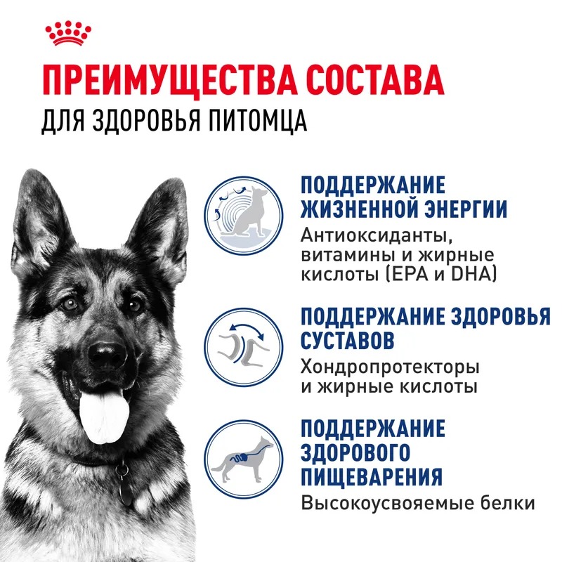 Royal Canin Maxi Ageing 8+ Сухой корм для пожилых собак крупных пород 15 кг