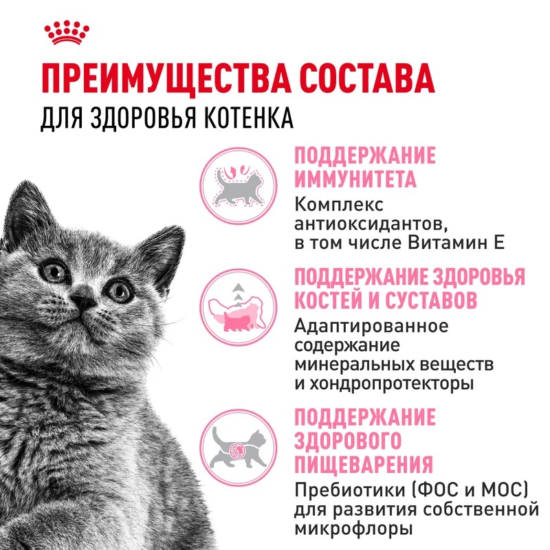 ROYAL CANIN British Kitten корм для Британских котят 2 кг 4627109383351