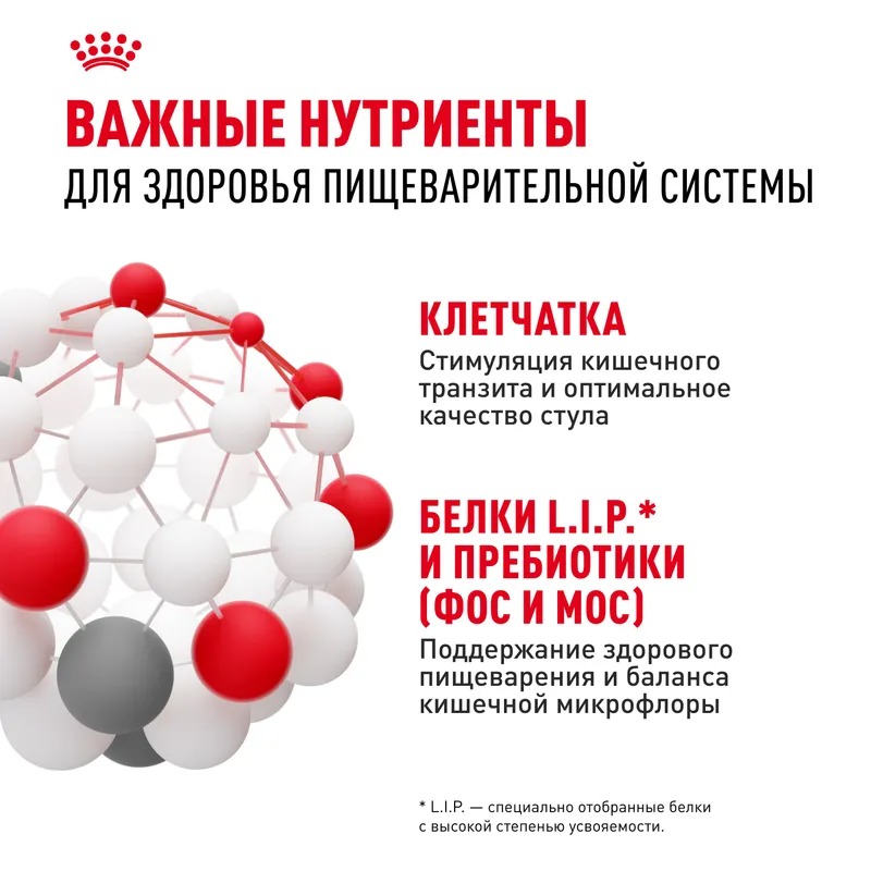 ROYAL CANIN Digestive для мелких собак с чувствительным пищеварением 3кг 4627150231656