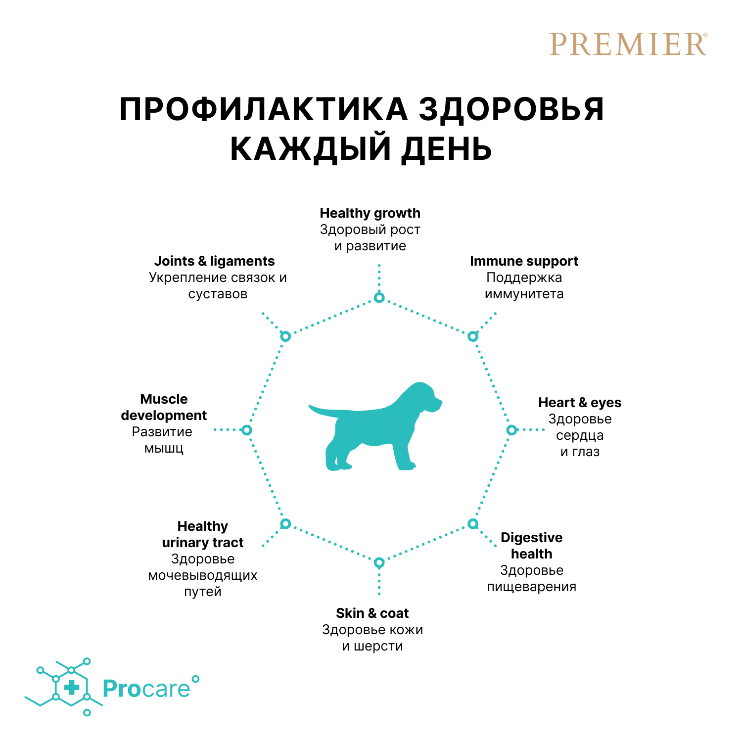 Premier Сухой корм для всех щенков с индейкой 3 кг 5407007851348