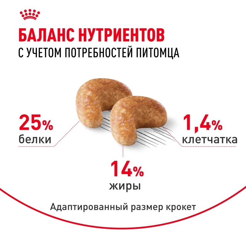 Royal Canin Cocker Adult Сухой корм для собак  для породы Кокер Спаниель 3 кг