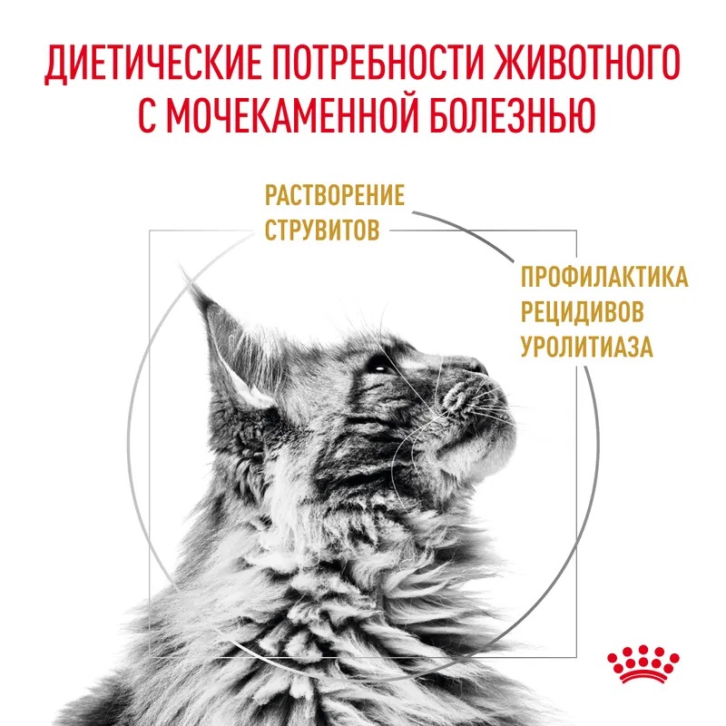 ROYAL CANIN Urinary  Корм сухой диетический для кошек при МКБ 7 кг 4627150232387