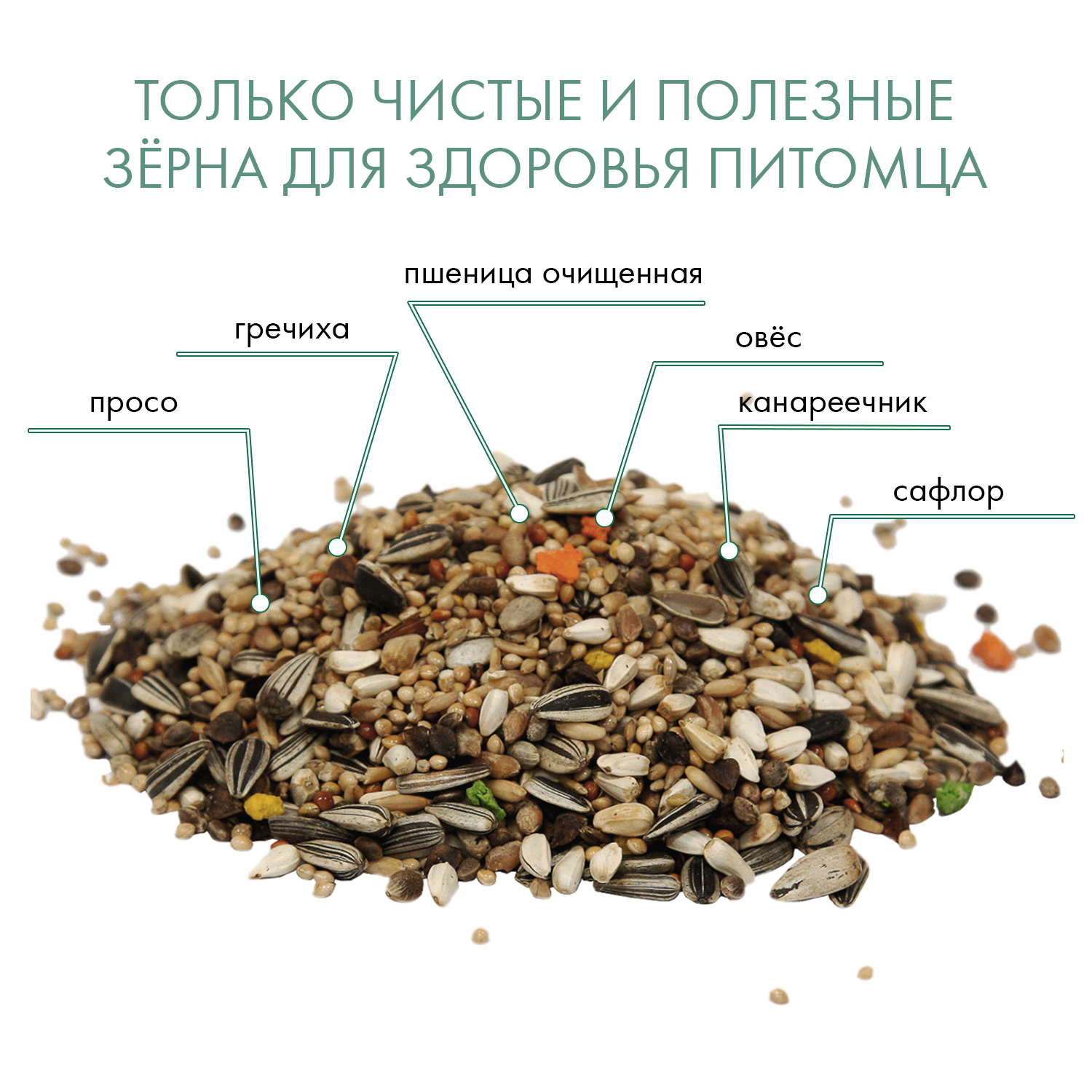 Корм Fiory Classic для средних попугаев 650 г