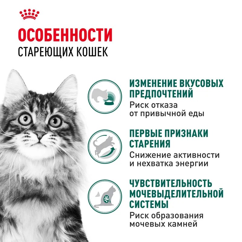 Royal Canin Instinctive 7+ Влажный корм для кошек в возрасте старше 7 лет, мелкие кусочки в соусе, 85гр