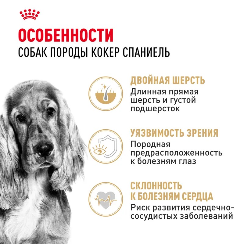 Royal Canin Cocker Adult Сухой корм для собак  для породы Кокер Спаниель 3 кг