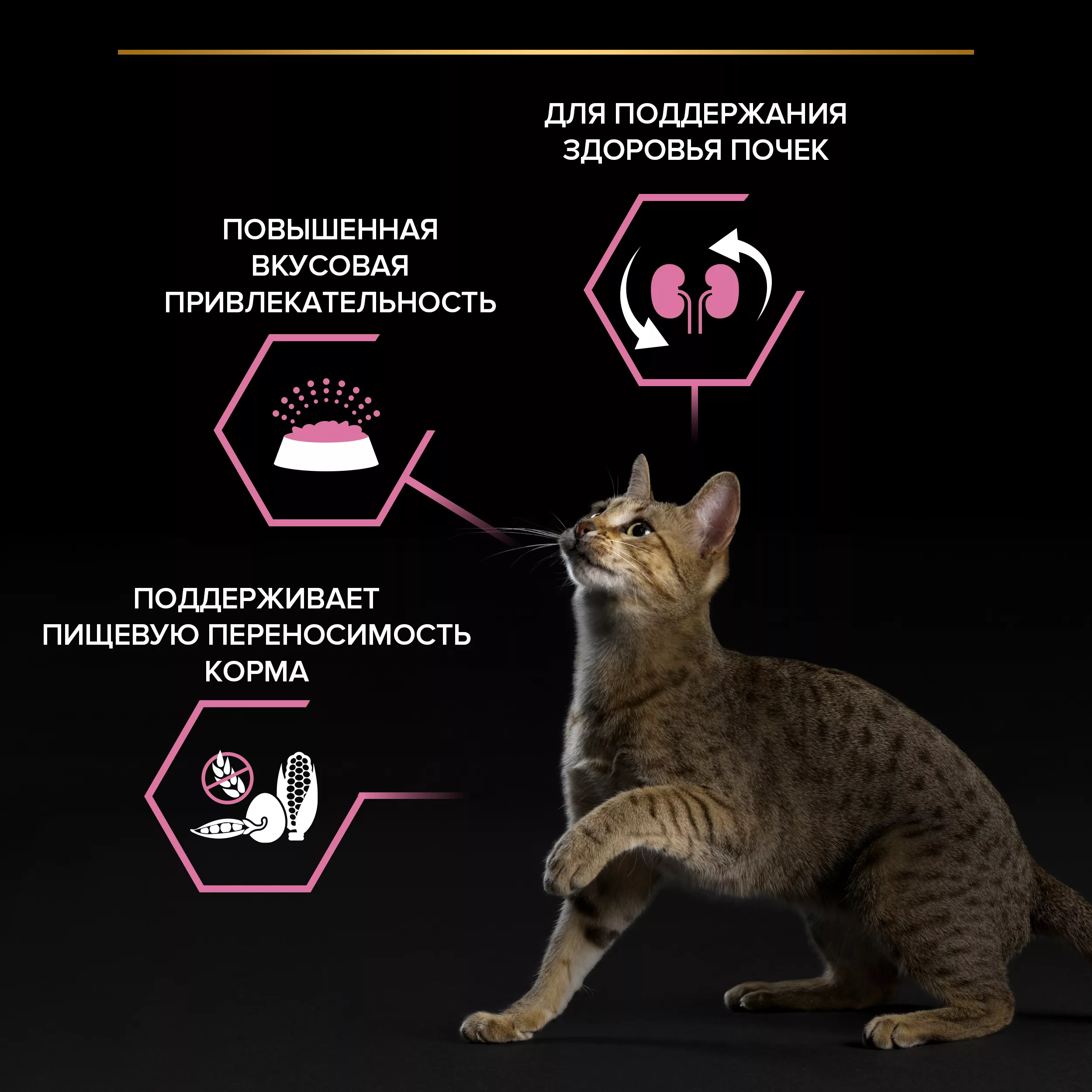 Сухой корм PRO PLAN для кошек с чувствительным пищеварением, с индейкой, 10 кг + 2 кг