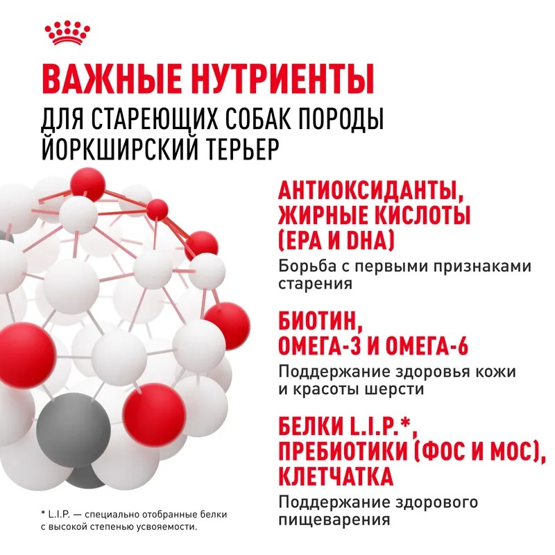 ROYAL CANIN Yorkshire Terrier 8+ Сухой корм для стареющих Йорков 1,5 кг 3182550908504