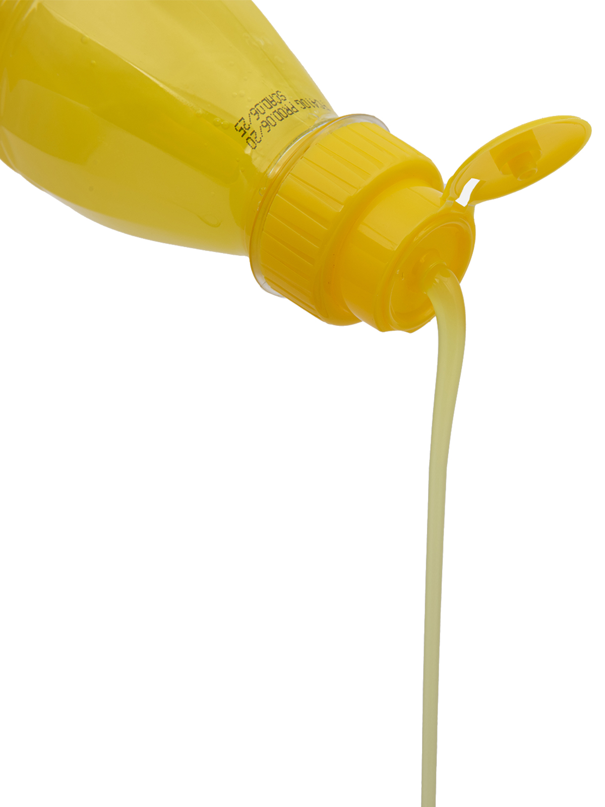 ISB  Fruit Шампунь любой тип шерсти против перхоти 500мл 8022767041562