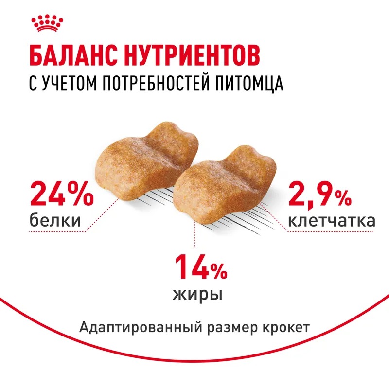 Royal Canin Bulldog Adult, Сухой корм для собак породы Бульдог 12 кг