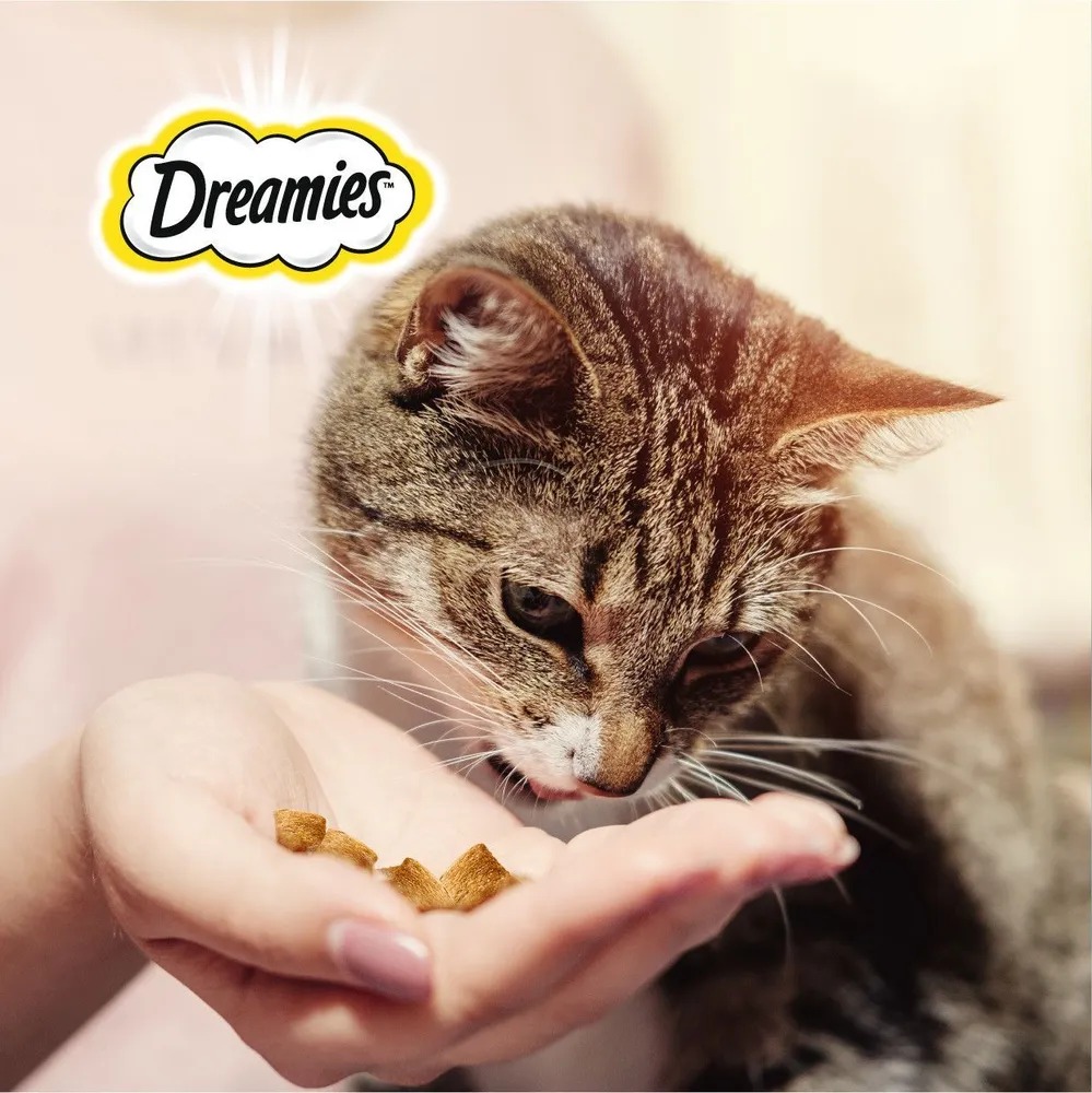 DREAMIES  Лакомство для кошек с лососем 140гр