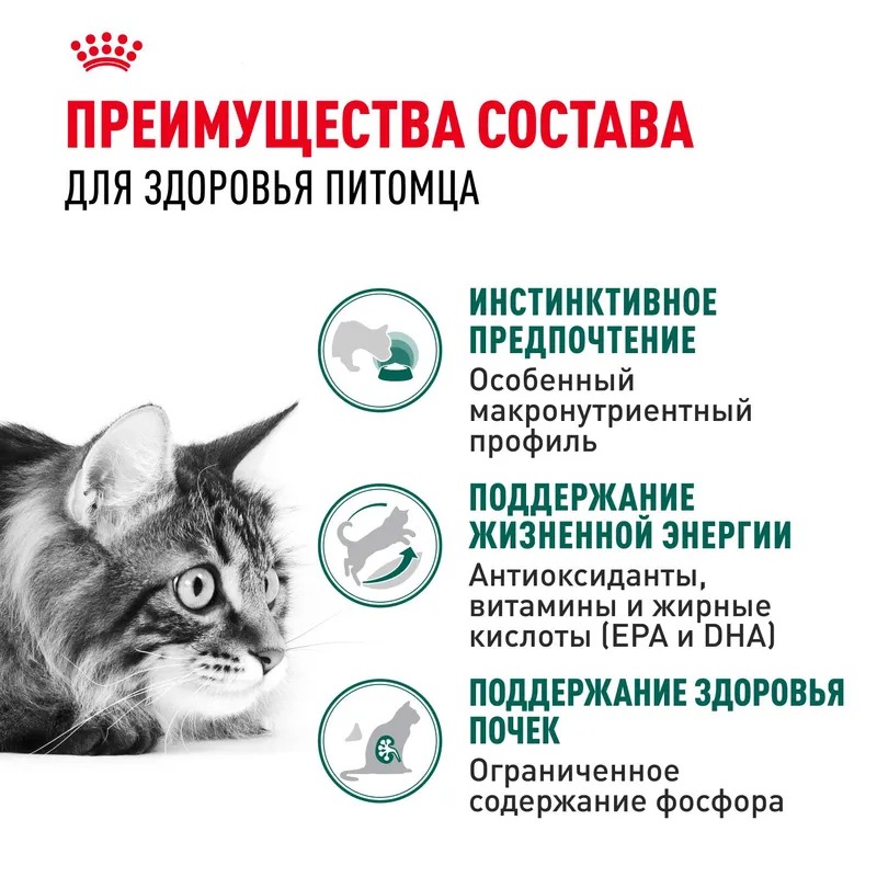 Royal Canin Instinctive 7+ Влажный корм для кошек в возрасте старше 7 лет, мелкие кусочки в соусе, 85гр