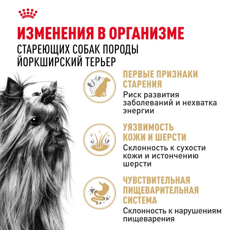 ROYAL CANIN Yorkshire Terrier 8+ Сухой корм для стареющих Йорков 1,5 кг 3182550908504