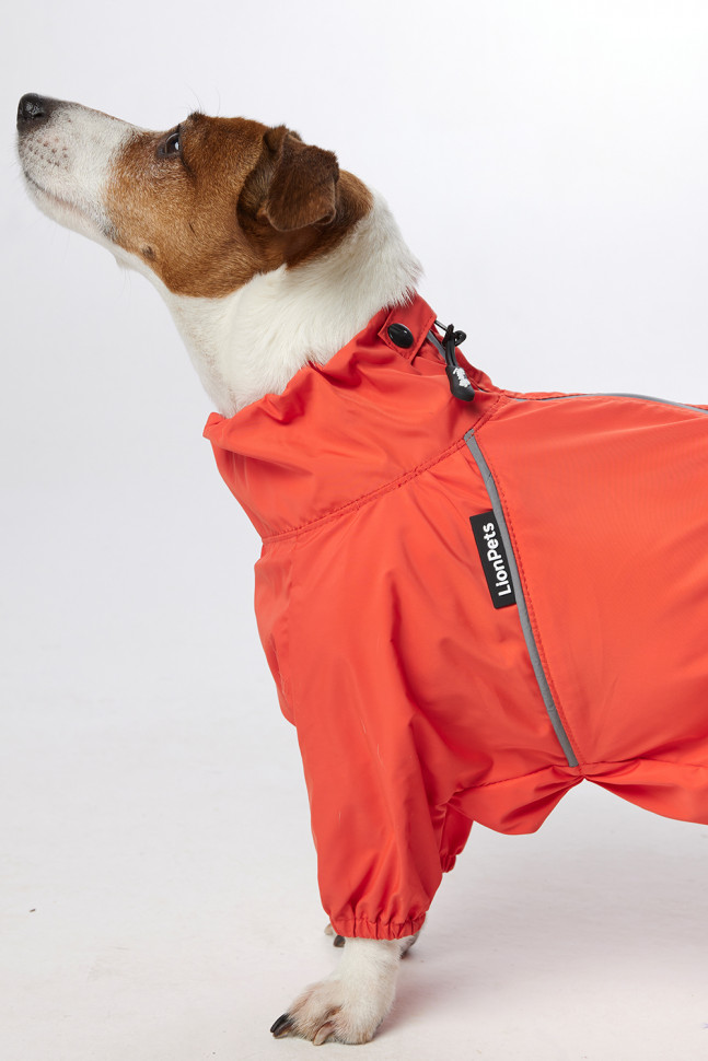 Дождевик LionPets ДЖЕК РАССЕЛ LPK-9225-29 на девочку Цвет: Оранжевый (девочка (спинка 38 см, обхват шеи 31-42, обхват груди 50-56))