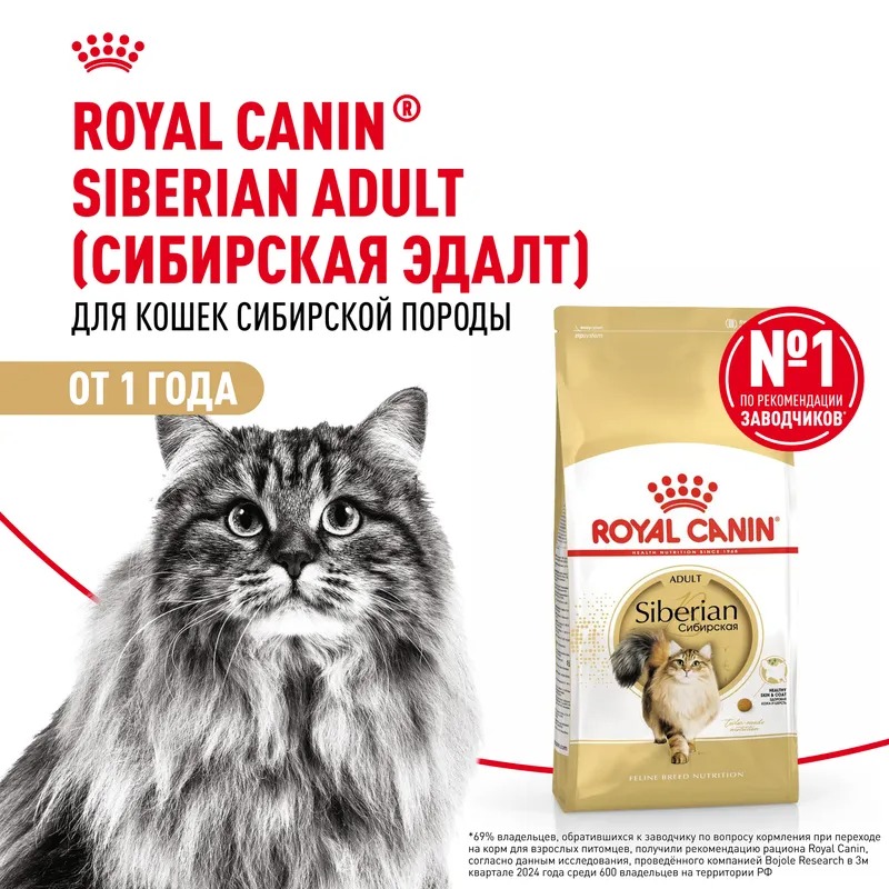 Royal Canin Siberian Adult, Сухой корм для кошек  Сибирской породы 2 кг