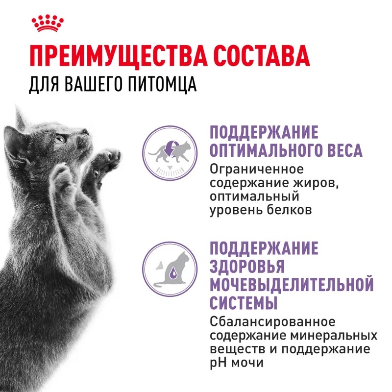 ROYAL CANIN Влажный корм для стерилизованных кошек, в соусе, 1шт-85гр 9003579311301
