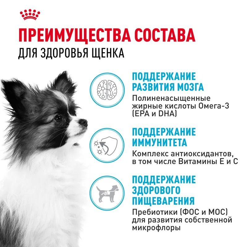 ROYAL CANIN X-Small Сухой корм для щенков миниатюрных пород 1,5 кг 4627109387496