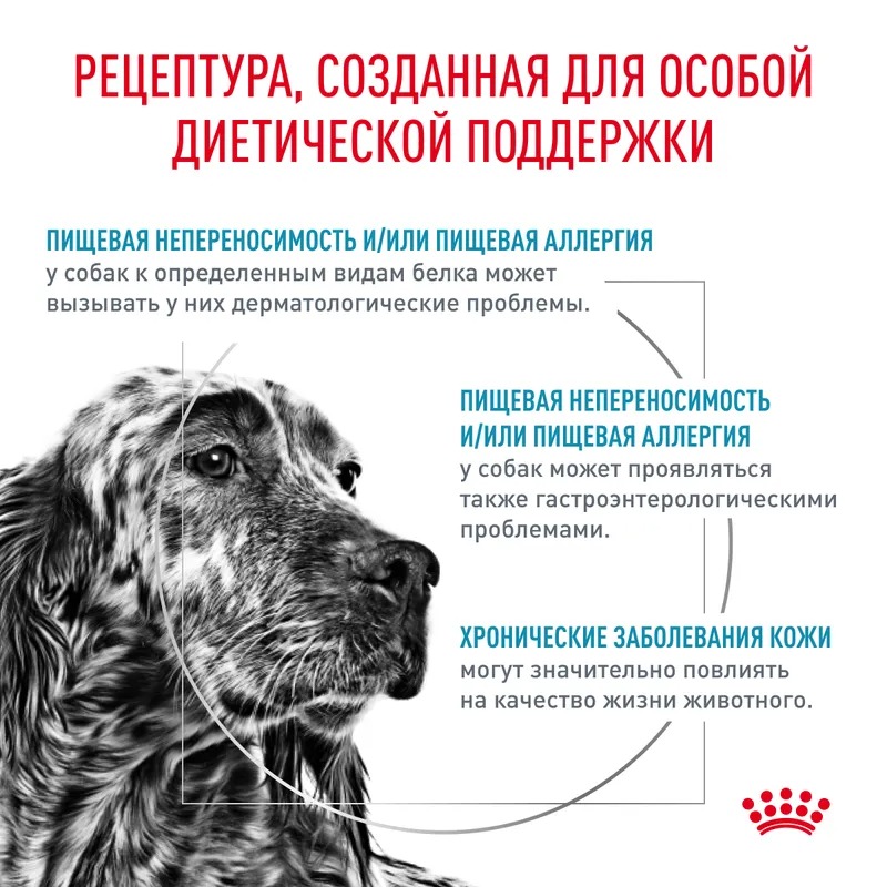 Royal Canin Hypoallergenic сухой корм для взрослых собак при пищевой аллергии 10кг